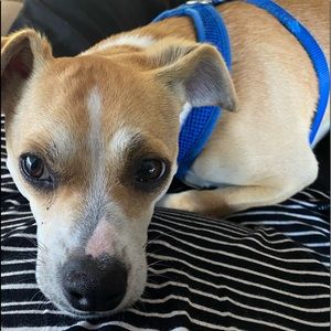 Meet your Posher, Deborah